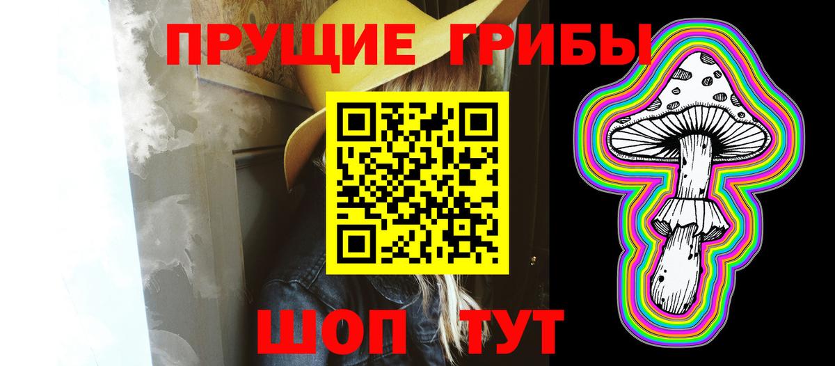 Псилоцибиновые грибы прущие грибы Гурьевск