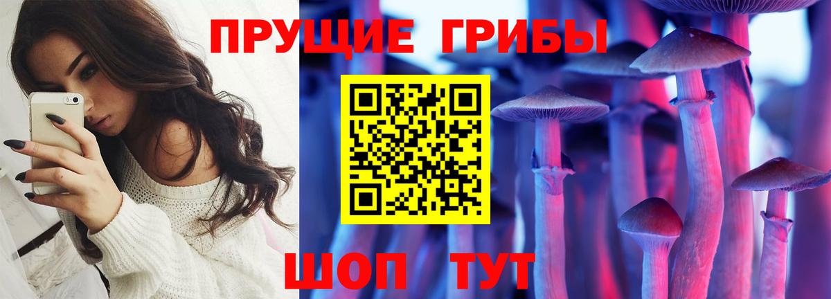 Гурьевск  где купить наркоту  Галлюциногенные грибы Magic Shrooms  Вход с VPN  Псилоцибиновые грибы Cubensis 
