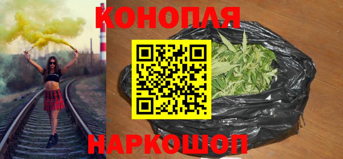 Марихуана конопля Гурьевск